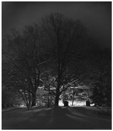 My Backyard in Winter