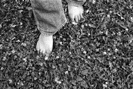 Feet in Clover