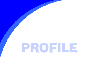 Professional Profile - Robert D. Rosenbaum