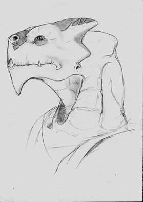Drakar Darinn