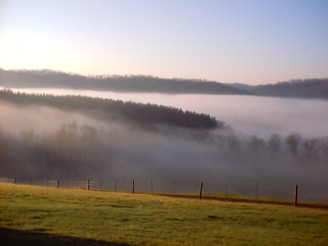 This is the view facing the front 30 acres of the property. This area backs up to 1000+ acres of state game land.