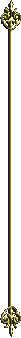 BarraDeOro.gif (778 bytes)