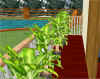deck-camera.jpg (79574 bytes)