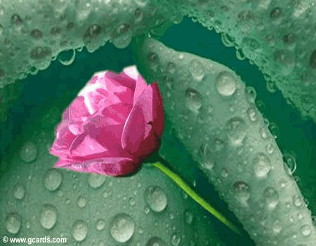 Click to see the whole picture