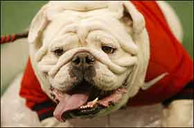UGA