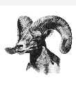 message.gif