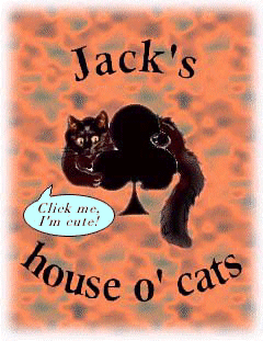 Jack's House of Cats