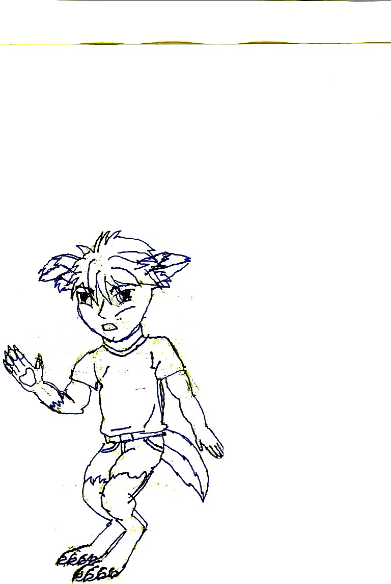 Fox-boy