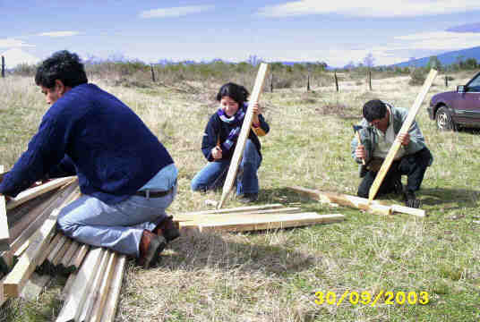 cutting stakes