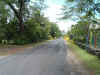 DSCF3950.JPG (77184 bytes)