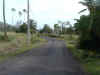 DSCF4130.JPG (51996 bytes)