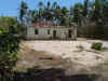 DSCF4184.JPG (81023 bytes)