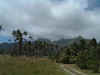DSCF4187.JPG (45693 bytes)