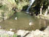 DSCF4212.JPG (86389 bytes)