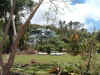 DSCF4328.JPG (89355 bytes)