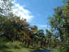 DSCF4348.JPG (78828 bytes)