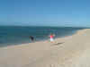 DSCF3931.JPG (29375 bytes)