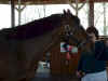 13d_horsepark029.JPG (44757 bytes)