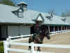 13d_horsepark035.JPG (53823 bytes)