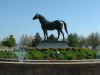 13d_horsepark047.JPG (48942 bytes)