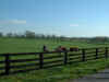 2_lexington012.JPG (44915 bytes)