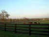 2_lexington032.JPG (33678 bytes)