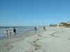 3_tampa_bay_area005.JPG (67060 bytes)
