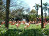 4_busch_garden015.JPG (154714 bytes)