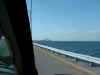 5_tampa_bay_area021.JPG (40851 bytes)