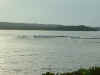 6_to_fort_myers004.JPG (66497 bytes)