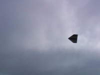 Delta wing in action