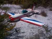 Bob was doing a low fly past when the plane sputtered and the runway ran out