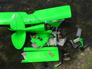 Kevin and Shrek had a hard landing