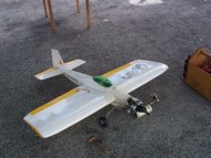 David's Low Wing