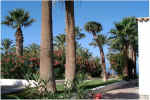 Las Americas 6.jpg (66476 bytes)