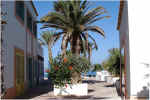 Las Americas 8.jpg (54756 bytes)