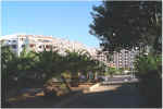 Los Cristinos 21.jpg (48234 bytes)