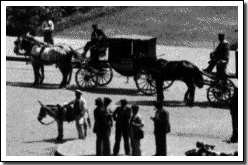 OMNIBUS