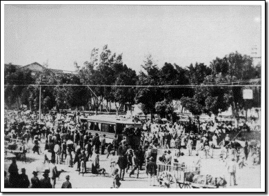 TRAM IN PLAZA WEYLER