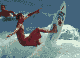 Surfer