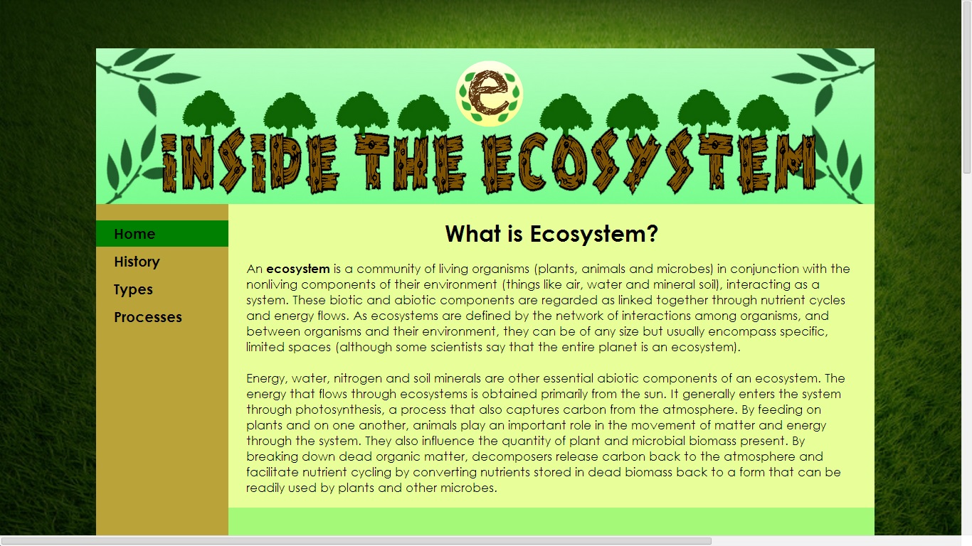 website