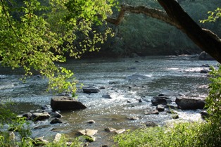 freshwater