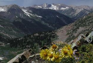 mountain