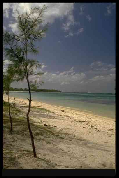Beach.....