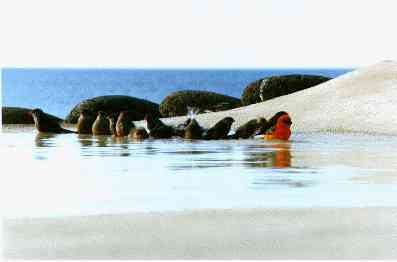 Beach.....