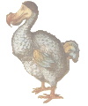 the dodo.