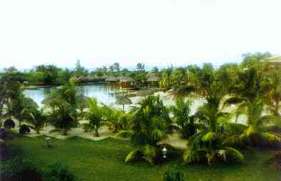 View.....