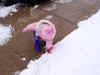jasmine grabbing snow.jpg (101361 bytes)