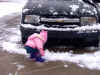 jasmine in snow.jpg (120475 bytes)