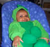 pea closeup.jpg (49875 bytes)